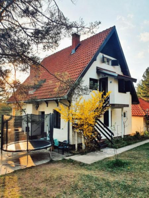 Sveti Pantelejmon Divčibare